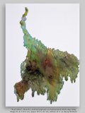 “fluid 04(k)” 2021/22, archival pigment on Hahnemühle Photo Rag 308g, image 41.5 x 29.7 cm, paper 55.5 x 42 cm, edition of 4  © Georg Mühleck