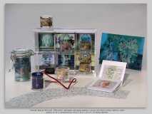 "Cellular Beauty Mini-Lab" 1993-2001, plexiglass and glass objects, Lysonic and Xerox prints, battery, LEDs; edition of 10 in cardboard box 25,5 x 33,0 x 6,5 cm  © Georg Mühleck