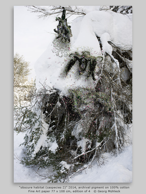 “obscure habitat (caspecies 2)” 2014, archival pigment on 100% cottonFine Art paper 77 x 108 cm, edition of 4   © Georg Mühleck