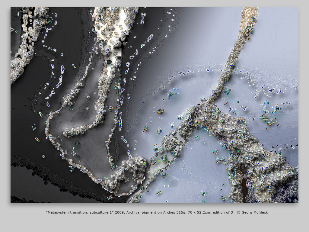 “Metasystem transition: subculture 1” 2009, Archival pigment on Arches 315g, 70 x 52,2cm, edition of 3   © Georg Mühleck