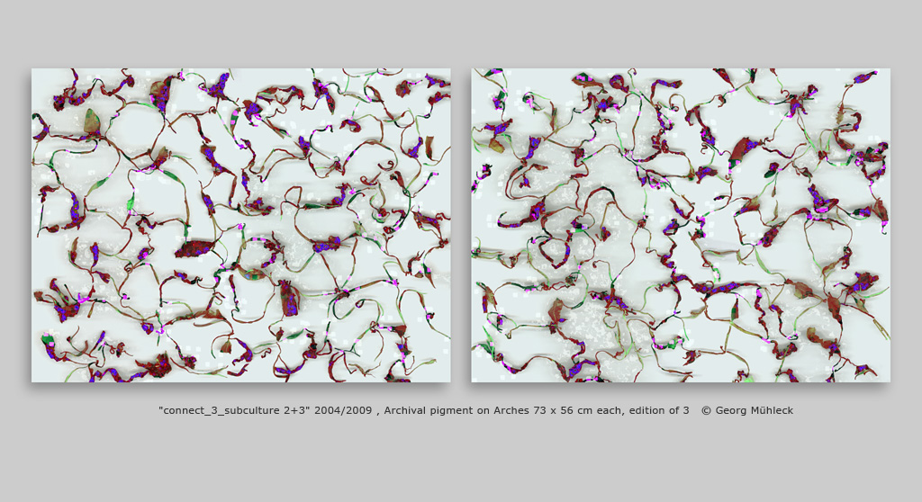 "connect_3_subculture 2+3" 2004/2009 , Archival pigment on Arches 73 x 56 cm each, edition of 3   © Georg Mühleck