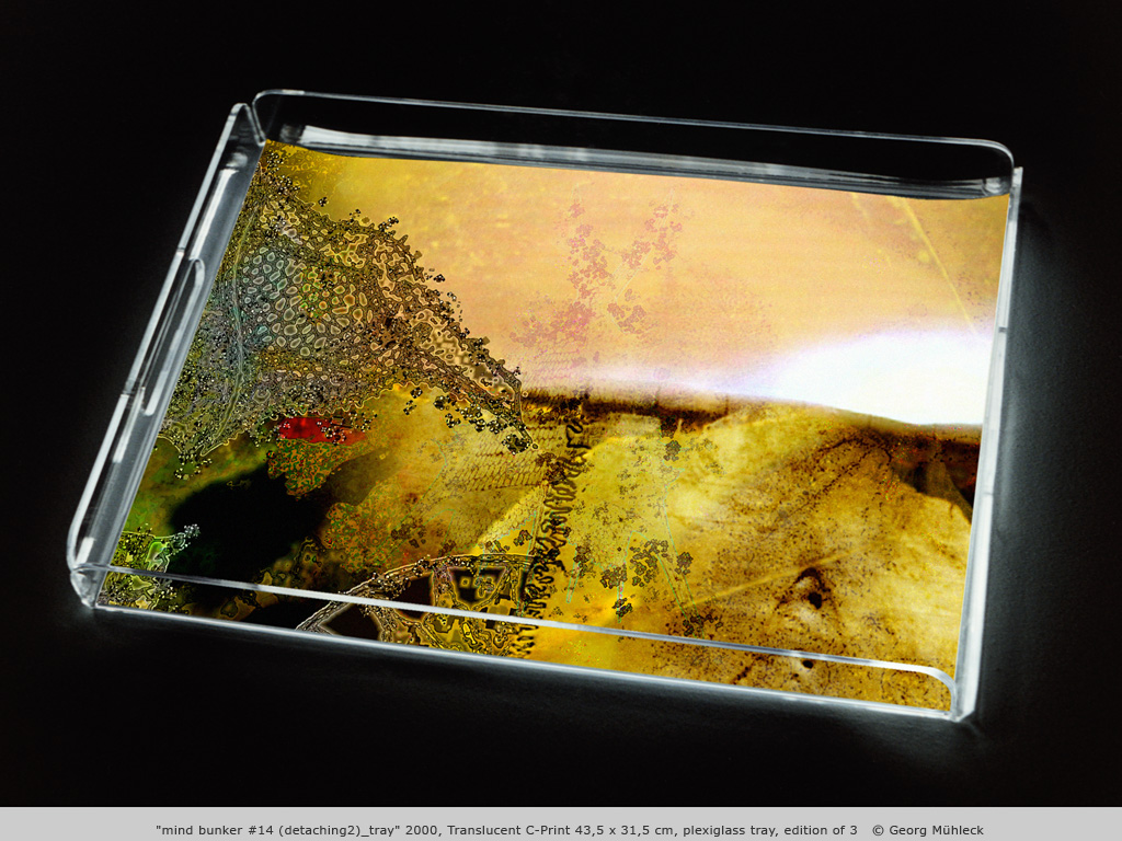 "mind bunker #14 (detaching2)_tray" 2000, Translucent C-Print 43,5 x 31,5 cm, plexiglass tray, edition of 3   © Georg Mühleck