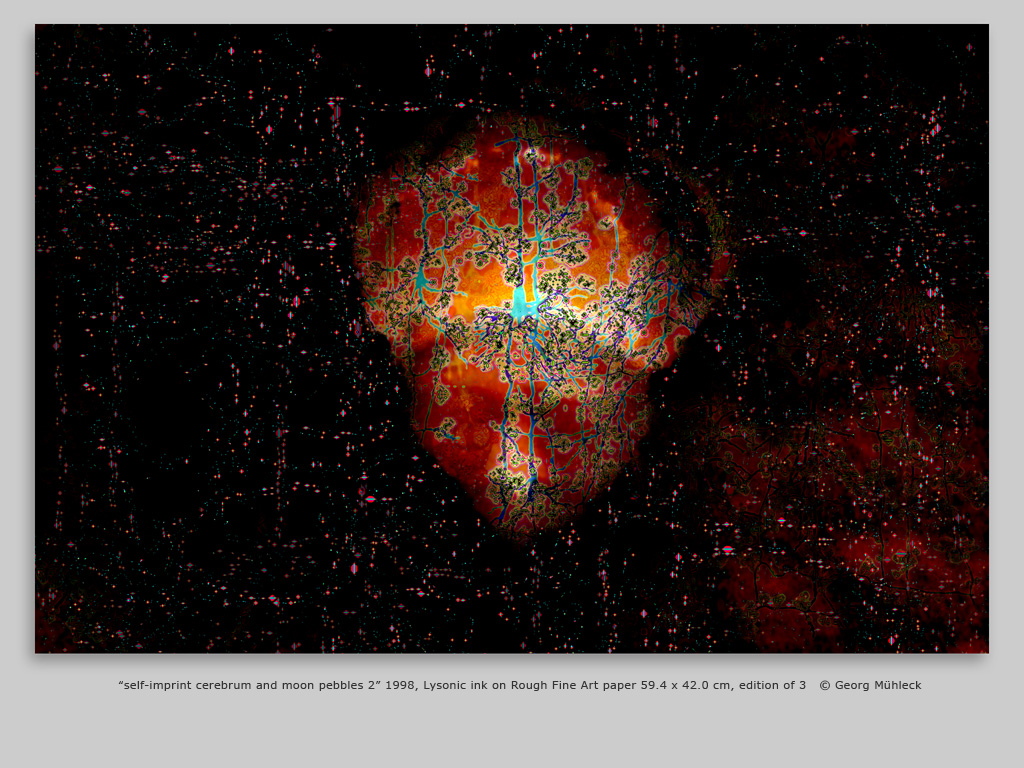 “self-imprint cerebrum and moon pebbles 2” 1998, Lysonic ink on Rough Fine Art paper 59.4 x 42.0 cm, edition of 3   © Georg Mühleck